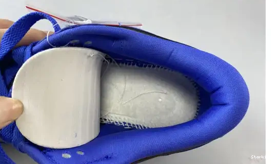 Low Blue and SB CU1726 Black Nike Dunk 006 0521